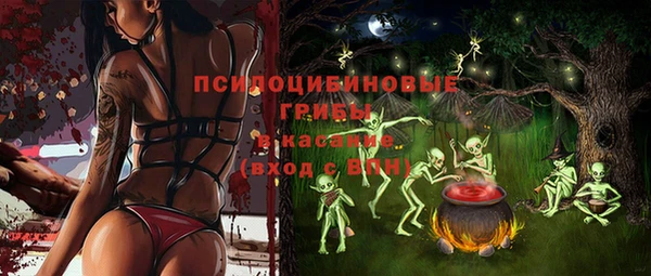 Альфа ПВП Армянск
